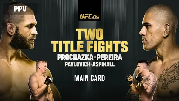 UFC 295 Prochazka vs. Pereira